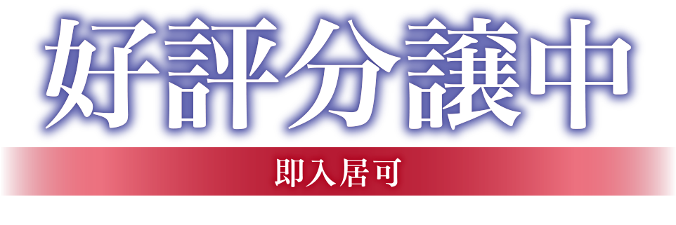 好評分譲中